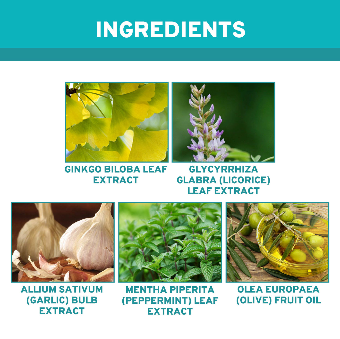 Clear Ear Support Elixir, Relieve Tinnitus Ear Discomfort Inner Ear Obstruction Clean Ear Health Care Solution